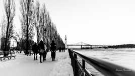 VieuxPortDeMontréaL