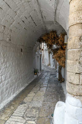 Ostuni, ruelle 3