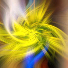 Coup de vent sur mon bouquet de mimosa