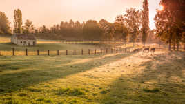 sunset behind the ranch