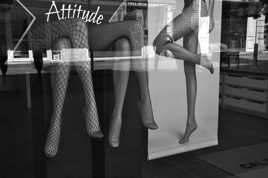 Belles prises dans les filets