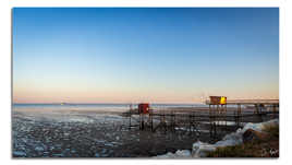 Migration Nikon-Olympus