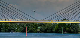 Le bateau ,le pont et le héron