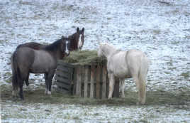 Au hasard d'une route de Provence.