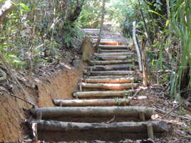 trackway parc lokobe