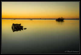 L'Etang de l'Or