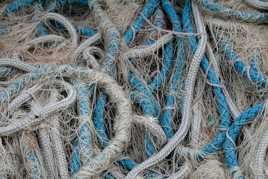 Histoire de filets (1)