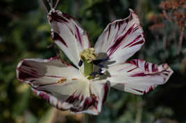 je tiens encore un peu