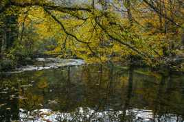 Reflet d automne 2