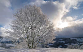 une minute de soleil