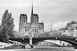 Notre Dame dans la grisaille