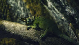 On s'la coule Douce !