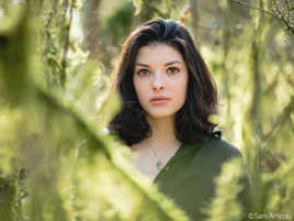 Amaryllis et un chaos de mousses