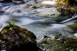 coule , coule rivière