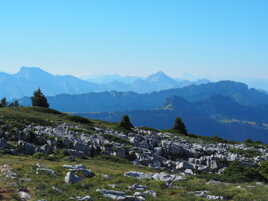 Horizon brumeuse