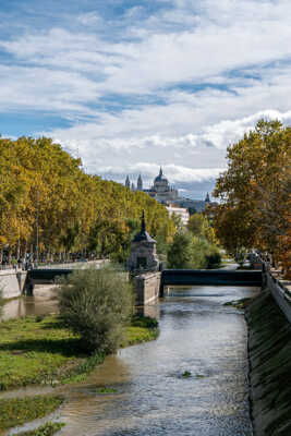 Belle ville feuillue