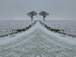 paysage sous la neige