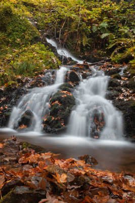 La cascade au couleurs d'automne