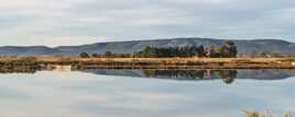 Les salines