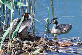 L'heure de la relève...