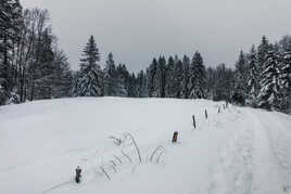 Le Jura en hiver