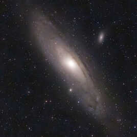 M31