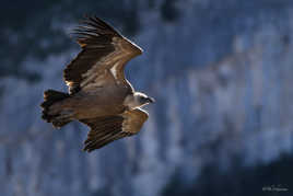 Prendre les ascendants.