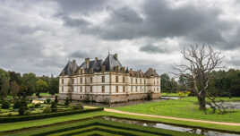 La chateau son arbre mort et la pointe du labyrinthe