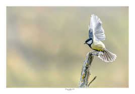 Décollage tout en douceur