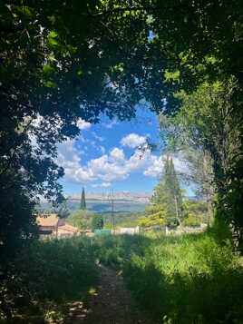 Sainte Victoire. aux champs