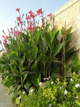 Que les grands protègent les petits!