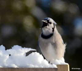 La, la, la, laaaaaaaa