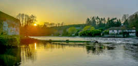Un soir sur la Vienne
