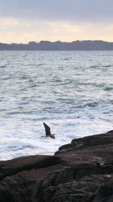 Coucher de soleil sur Groix