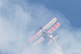 Wing walker