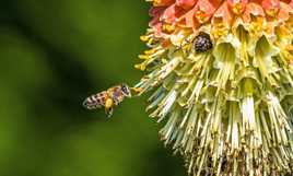 Les sacoches sont pleines