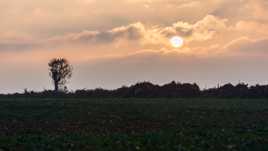Coucher de soleil à la campagne