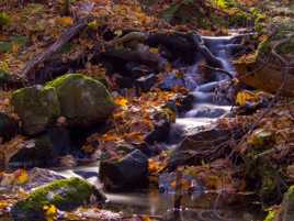 Une dernière en automne