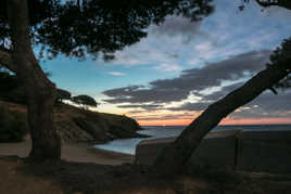 Baie des Paulilles