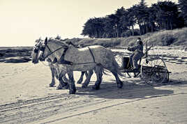 Nettoyage plage à l'ancienne