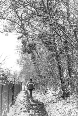 Un loco sous la neige