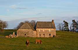 La p'tite maison sur le plateau