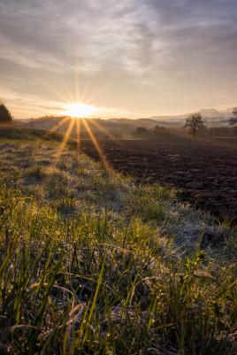 Levé de soleil sur le chemin du travail