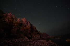 Des étoiles des arbres la mer