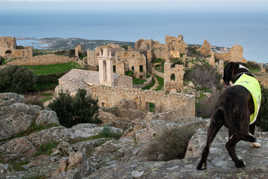 le village abandonné d'Occi