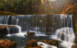 Les couleurs de l'automne