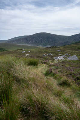 Wicklow mountains