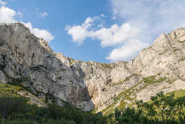 mon jardin préféré