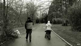 A chacun sa responsabilité