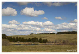 Paysage d'avril sur l'Aubrac